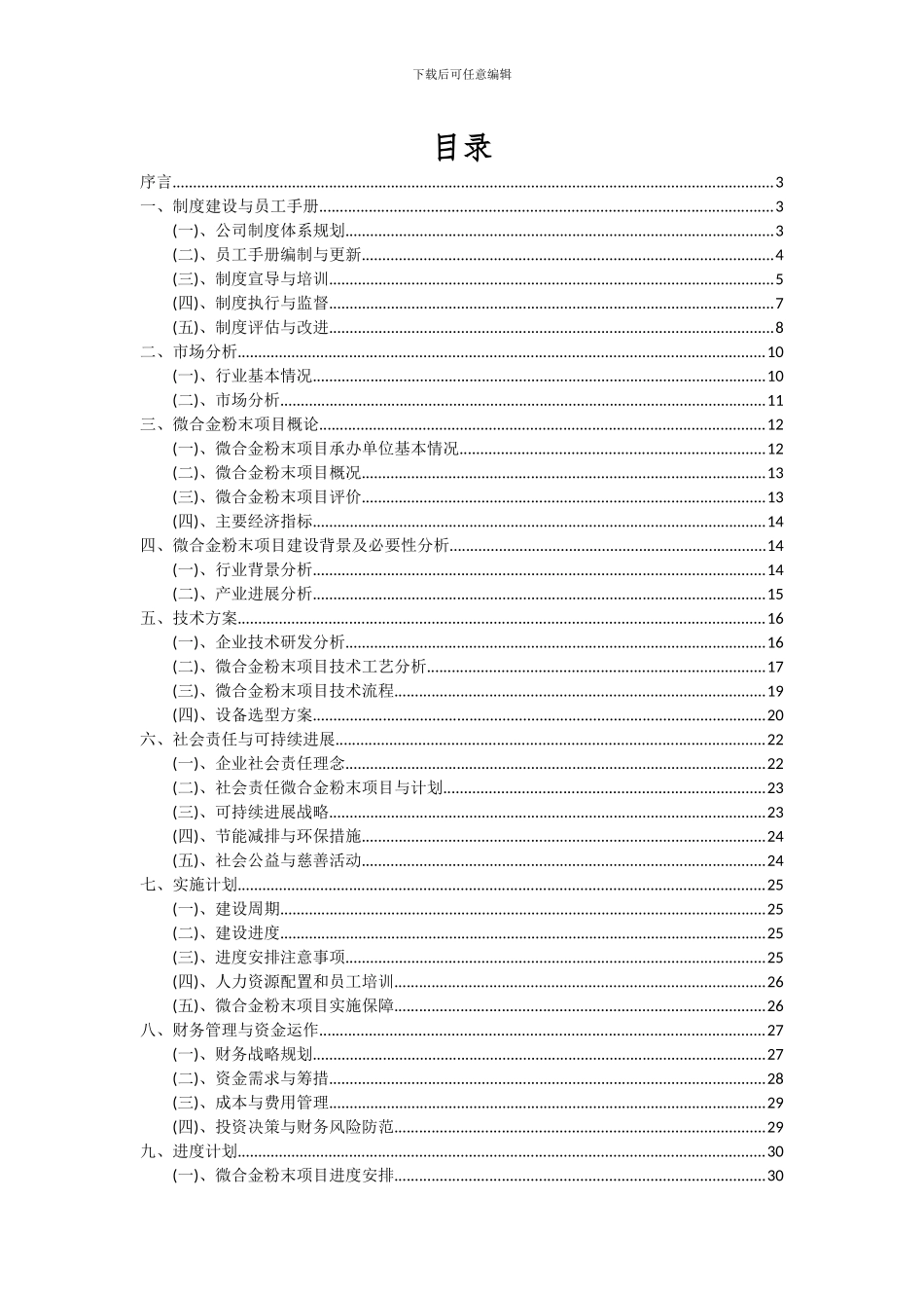 2024年微合金粉末项目可行性研究报告_第2页