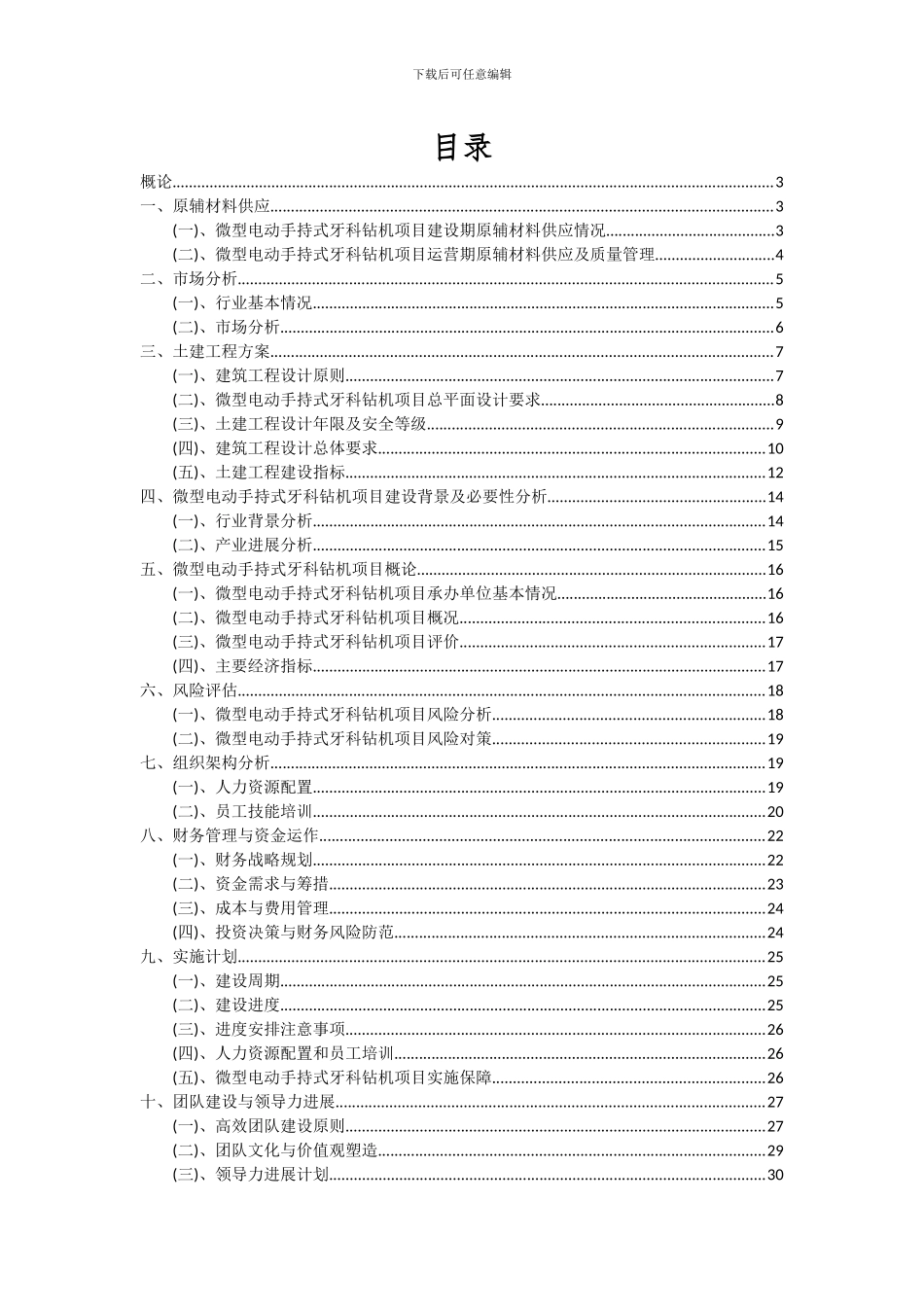2024年微型电动手持式牙科钻机项目可行性分析报告_第2页