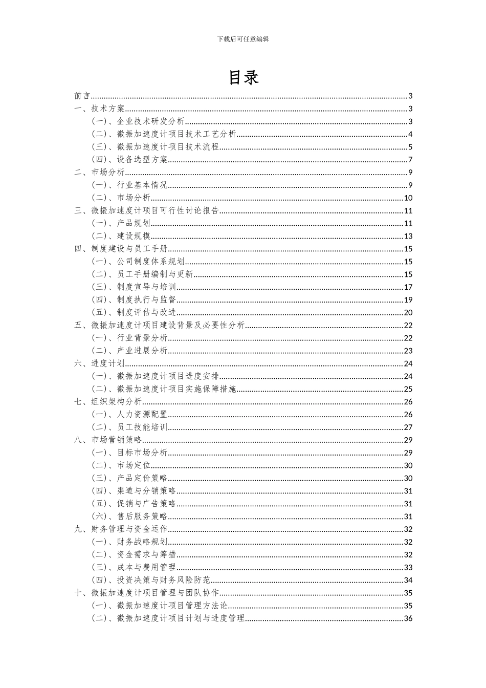 2024年微振加速度计项目可行性研究报告_第2页