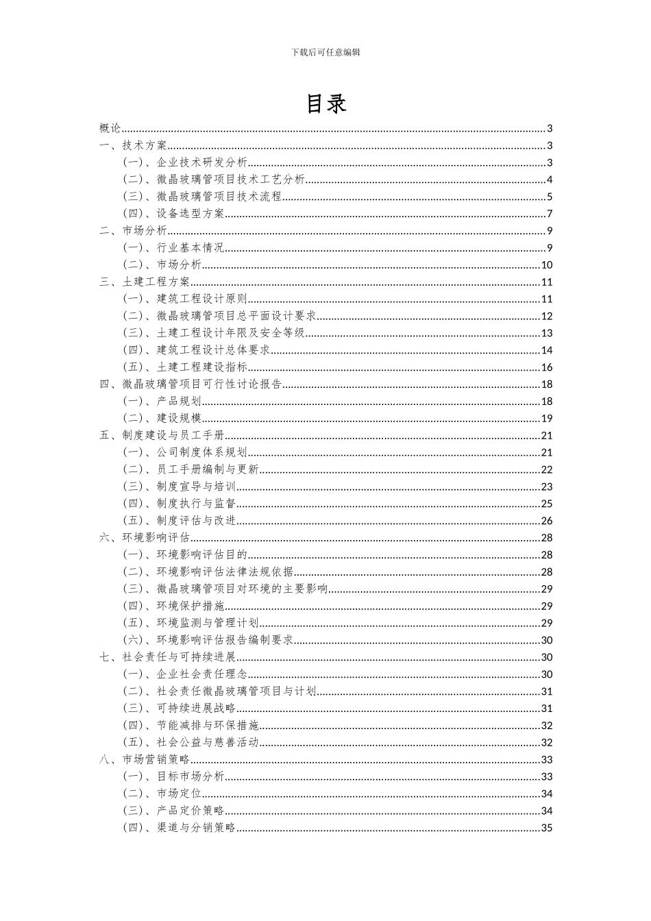 2024年微晶玻璃管项目可行性分析报告_第2页