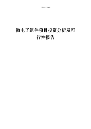 2024年微电子组件项目投资分析及可行性报告