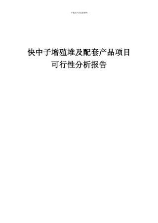 2024年快中子增殖堆及配套产品项目可行性分析报告