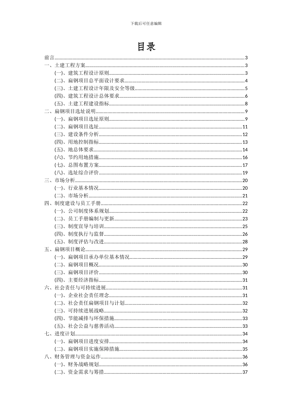 2024年扁钢项目可行性研究报告_第2页