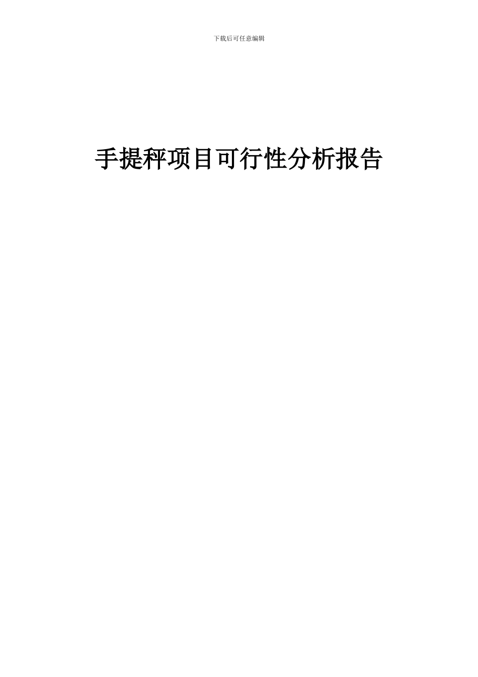 2024年手提秤项目可行性分析报告_第1页