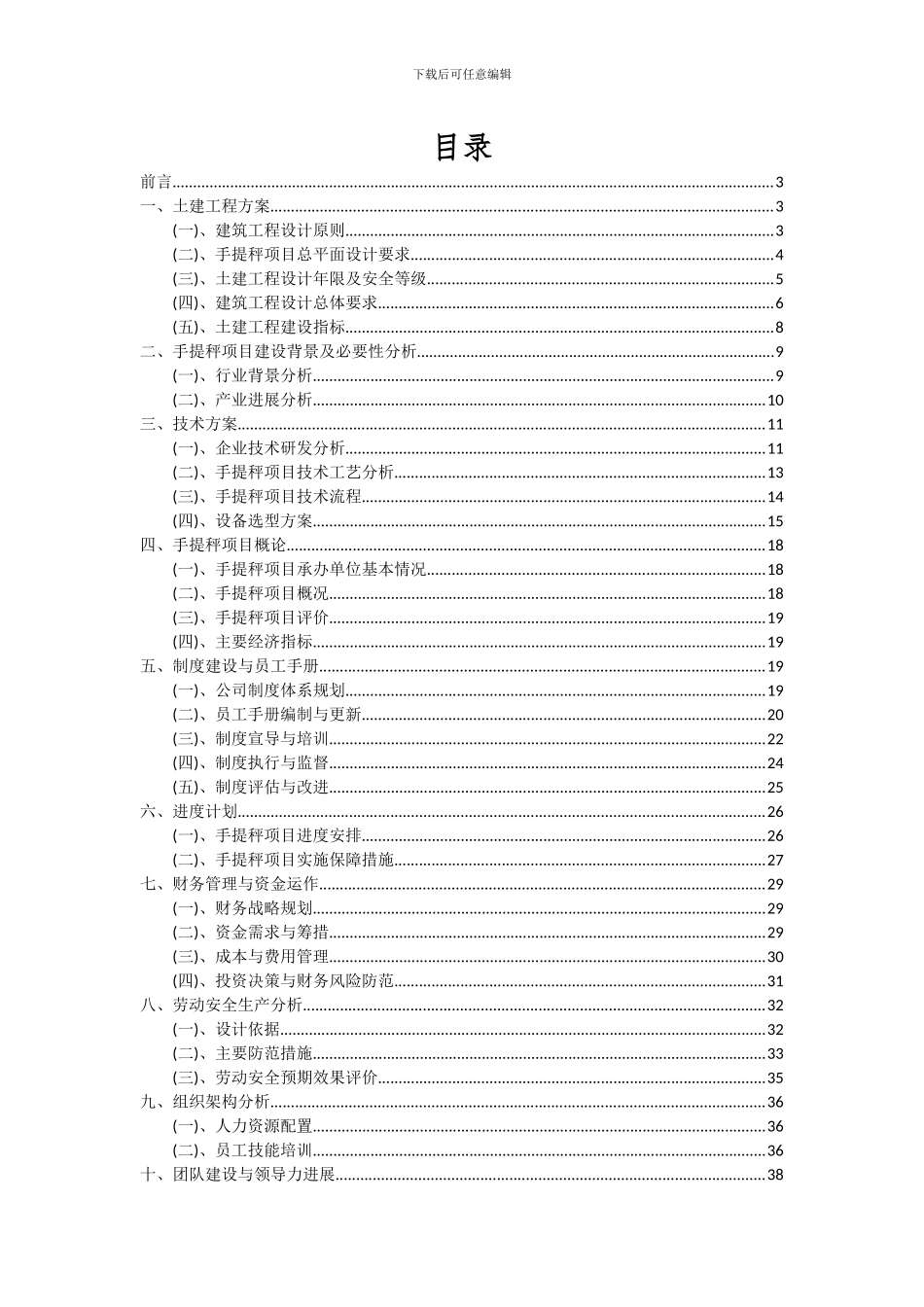 2024年手提秤项目投资分析及可行性报告_第2页