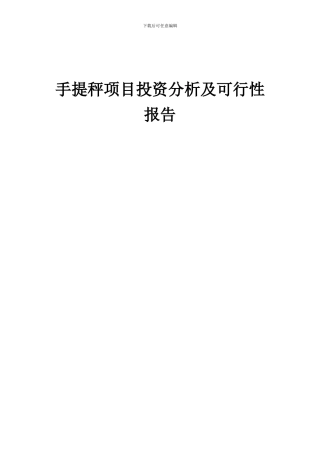 2024年手提秤项目投资分析及可行性报告