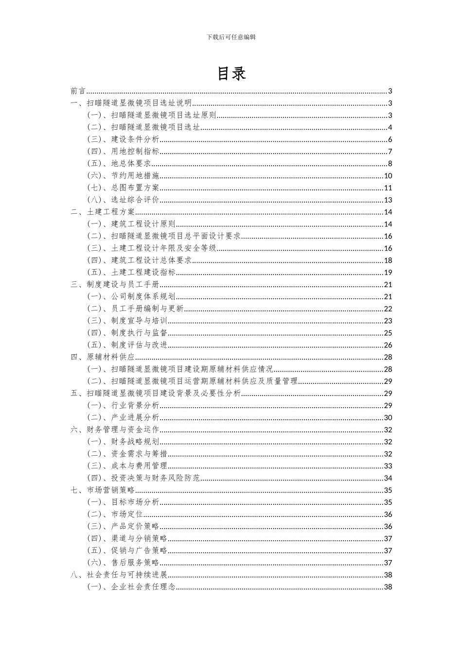 2024年扫瞄隧道显微镜项目可行性研究报告_第2页