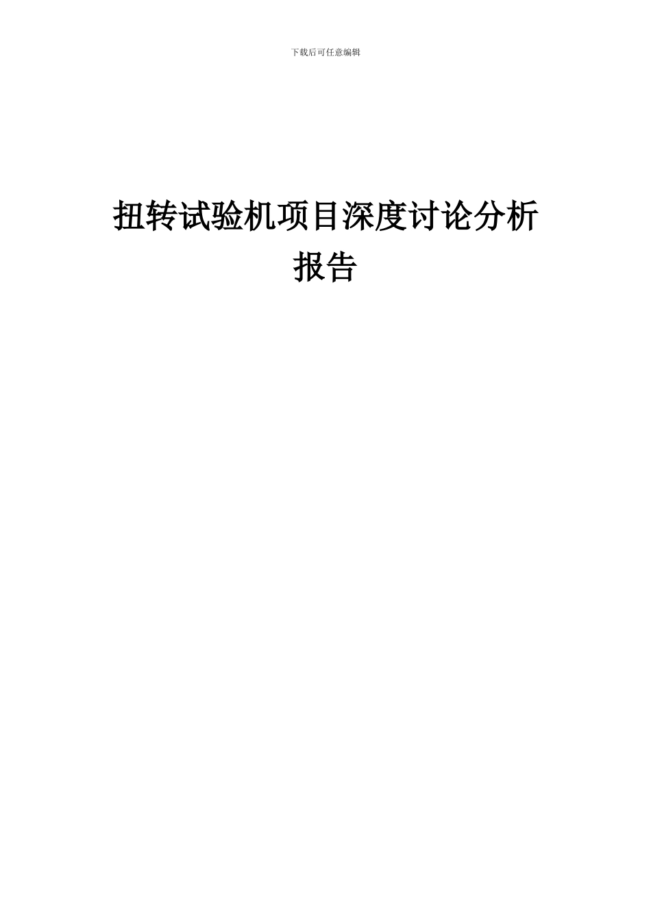 2024年扭转试验机项目深度研究分析报告_第1页