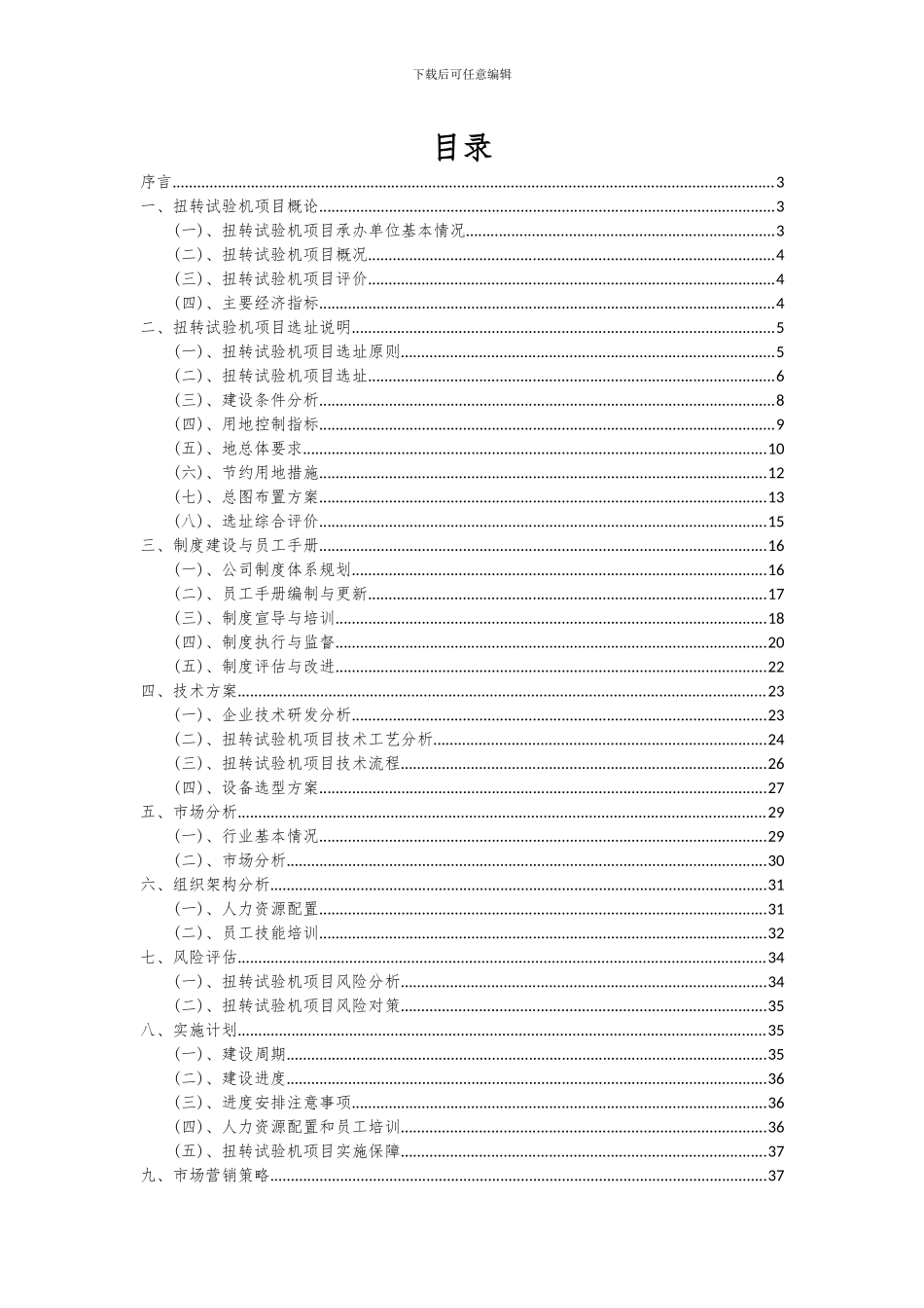 2024年扭转试验机项目深度研究分析报告_第2页