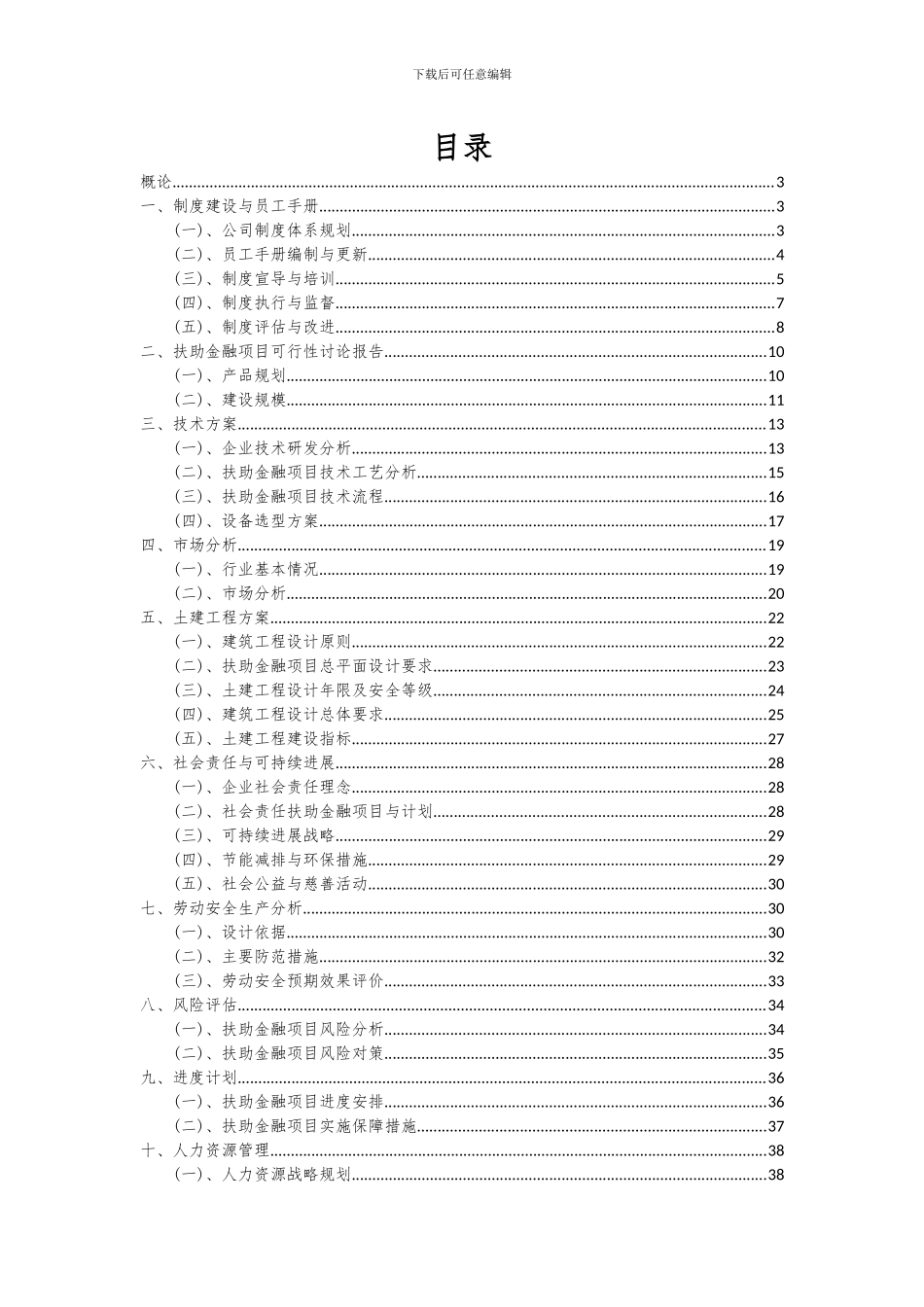 2024年扶助金融项目可行性研究报告_第2页