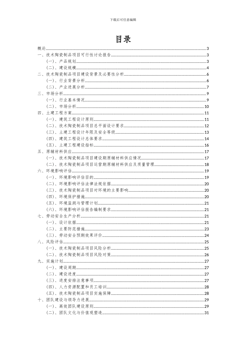 2024年技术陶瓷制品项目可行性研究报告_第2页