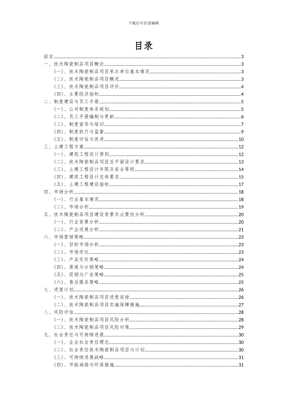2024年技术陶瓷制品项目投资分析及可行性报告_第2页