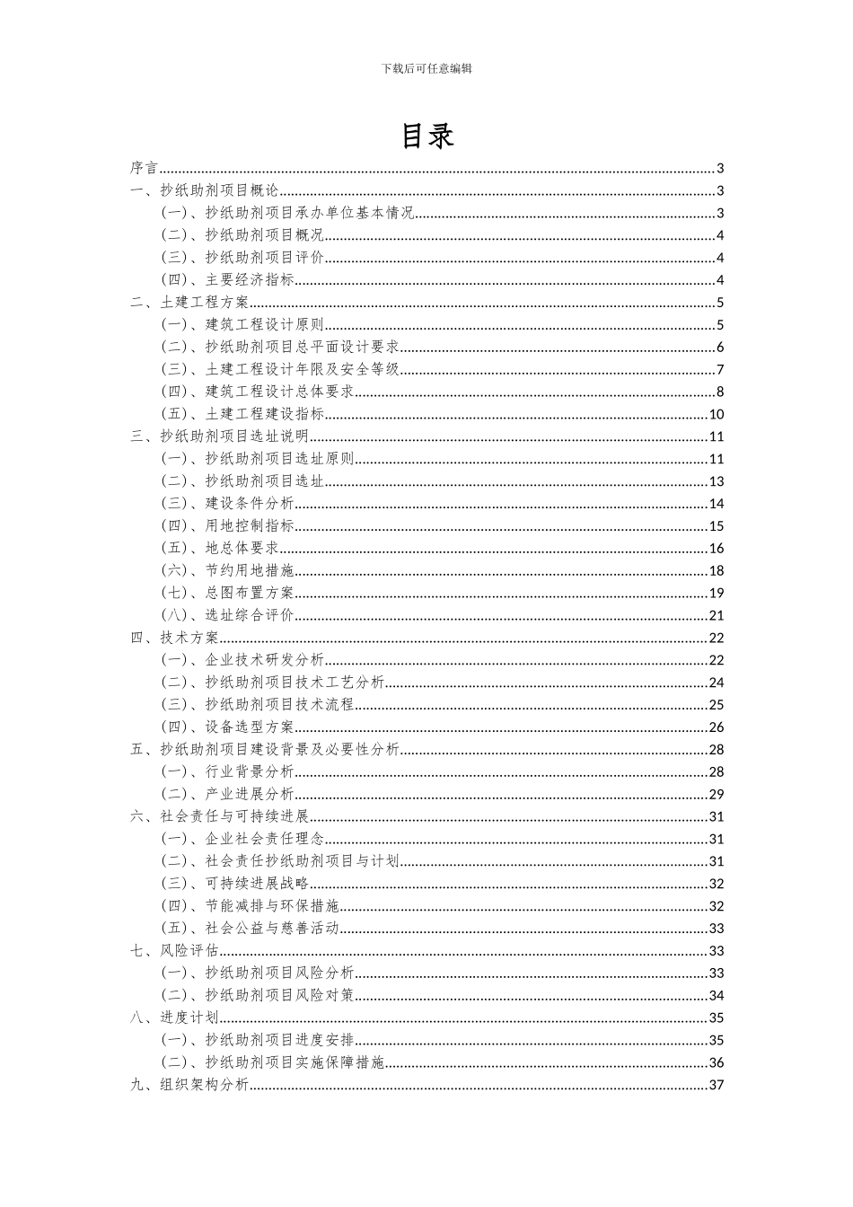 2024年抄纸助剂项目深度研究分析报告_第2页