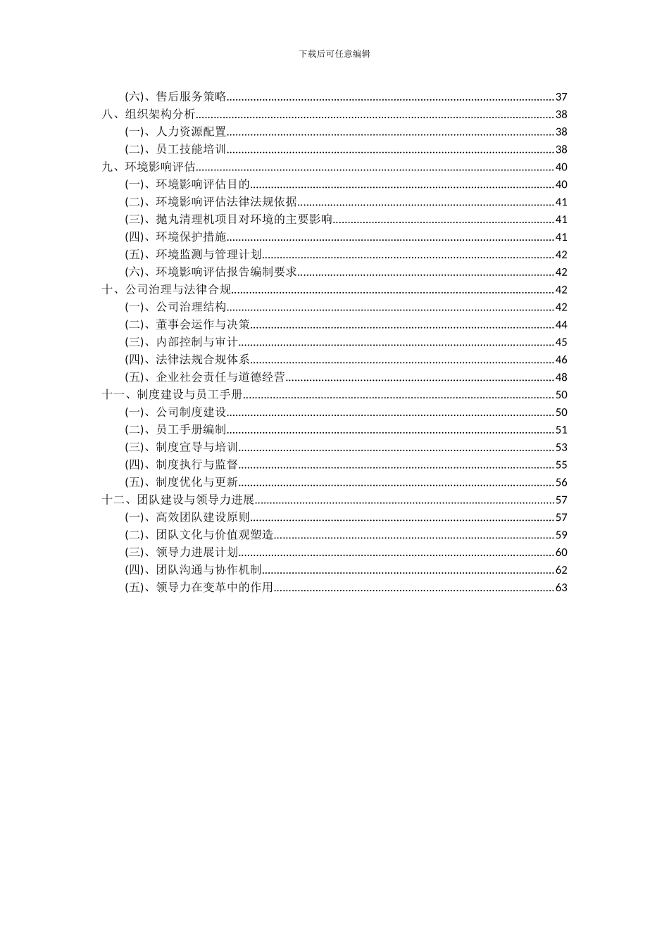 2024年抛丸清理机项目可行性研究报告_第3页