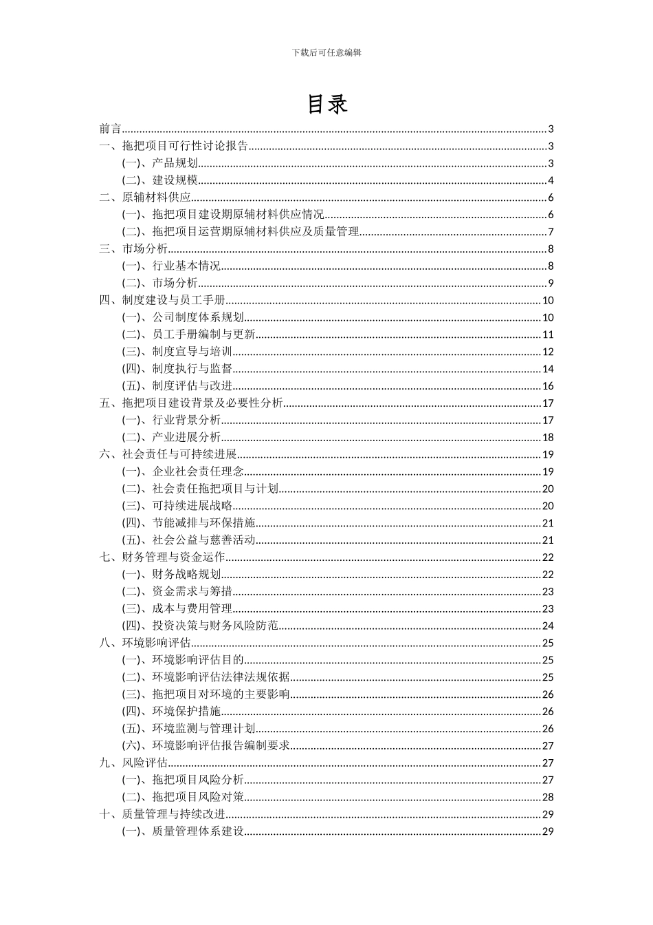 2024年拖把项目深度研究分析报告_第2页