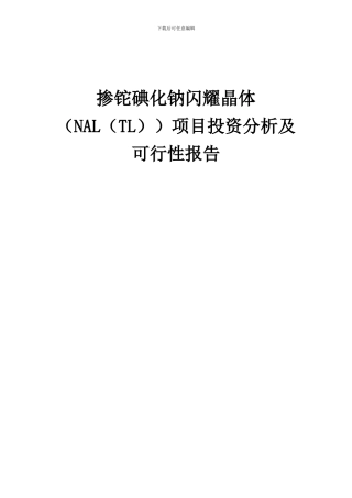 2024年掺铊碘化钠闪烁晶体(NAL(TL))项目投资分析及可行性报告