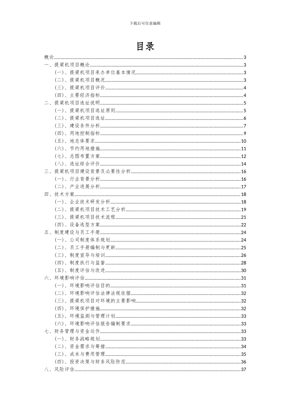 2024年提梁机项目可行性研究报告_第2页