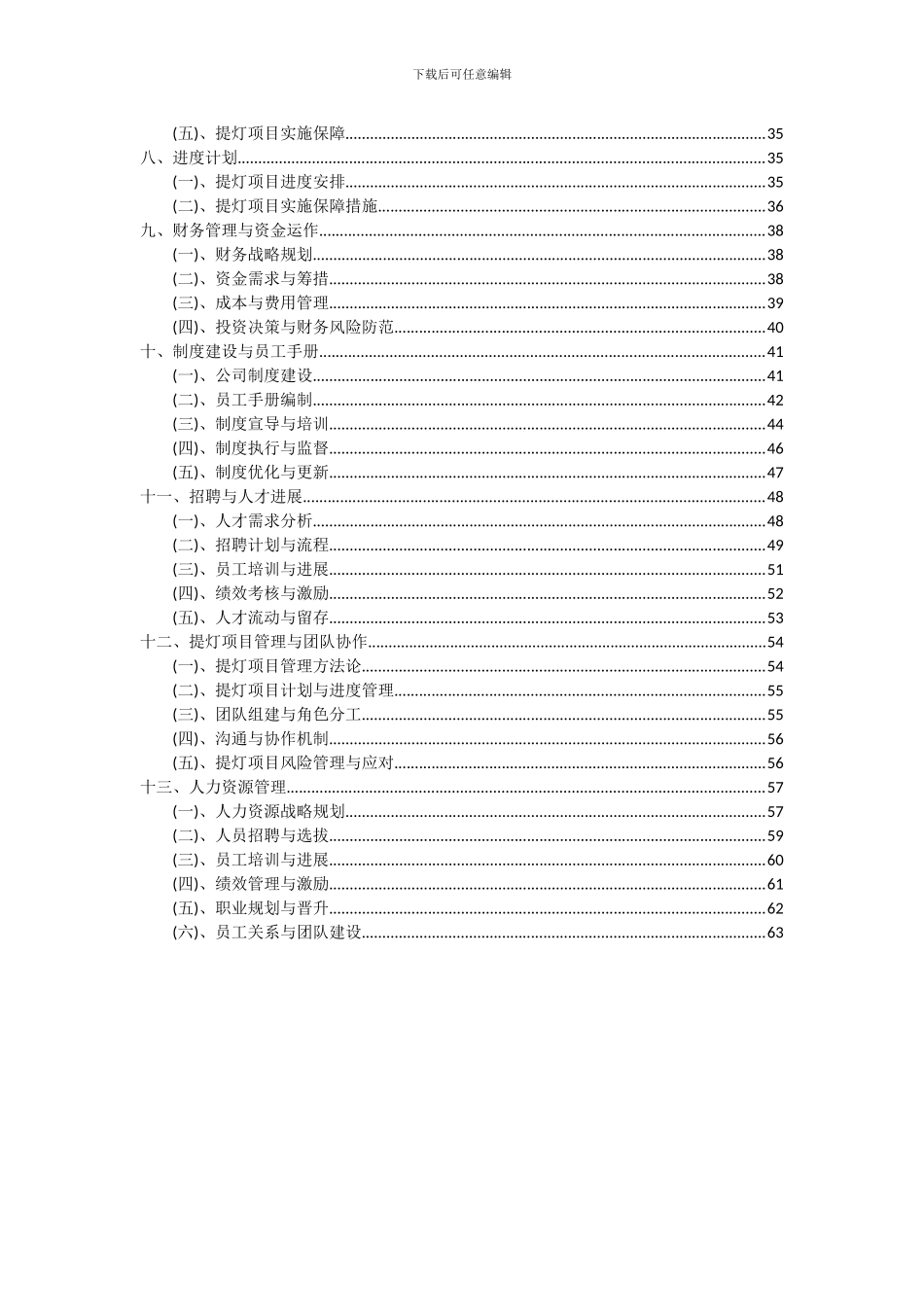 2024年提灯项目深度研究分析报告_第3页