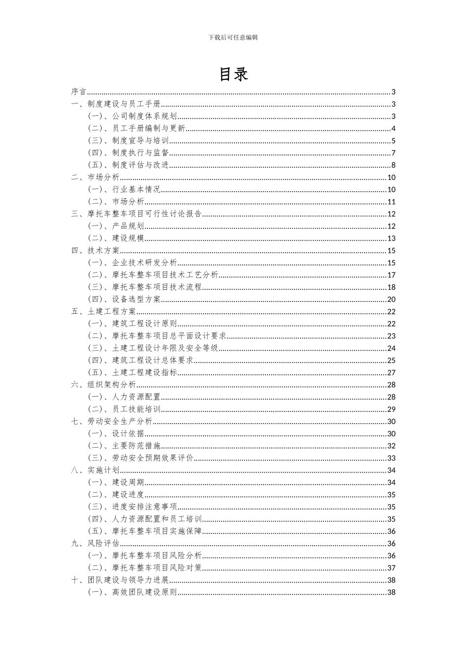 2024年摩托车整车项目可行性分析报告_第2页