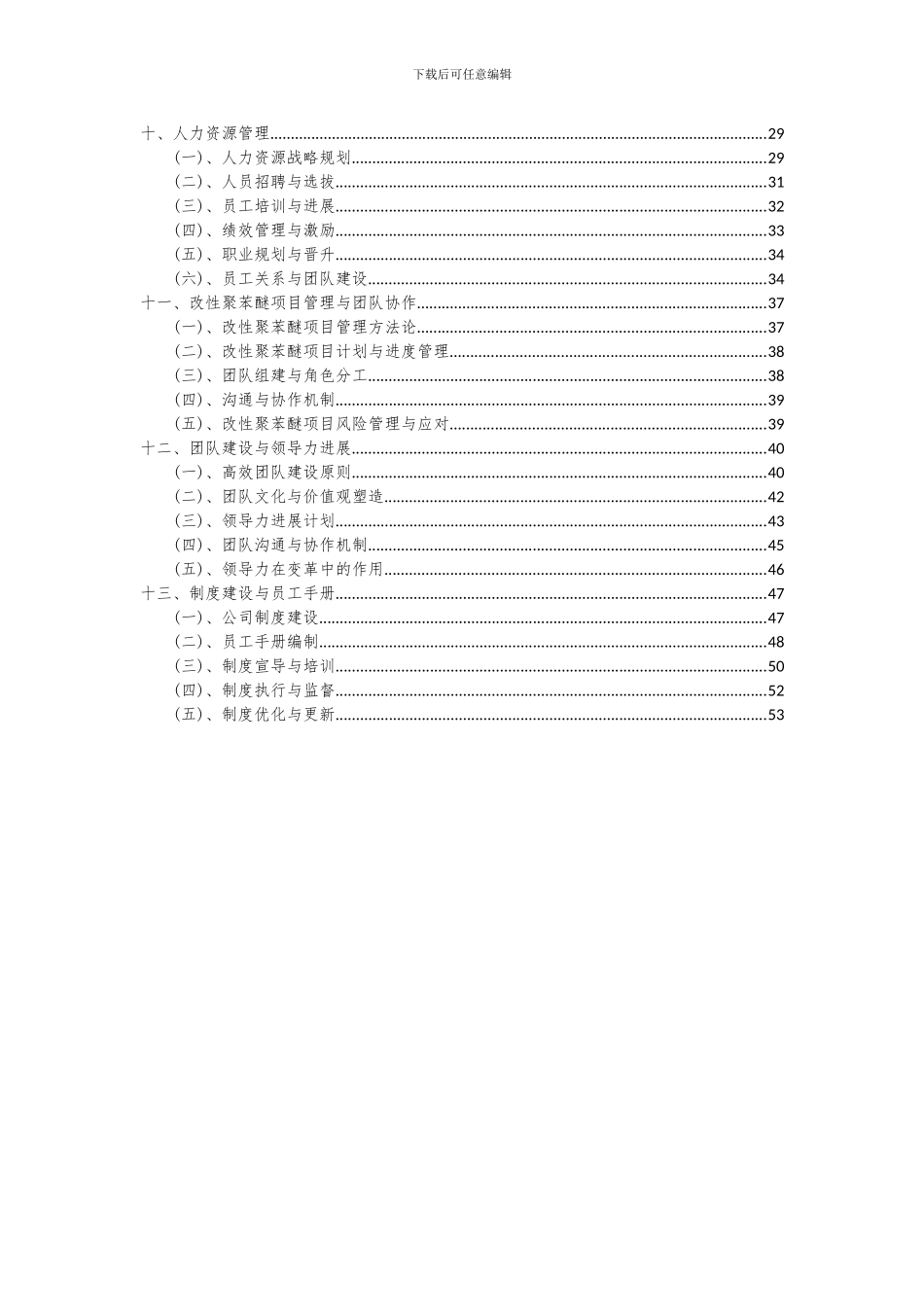 2024年改性聚苯醚项目投资分析及可行性报告_第3页