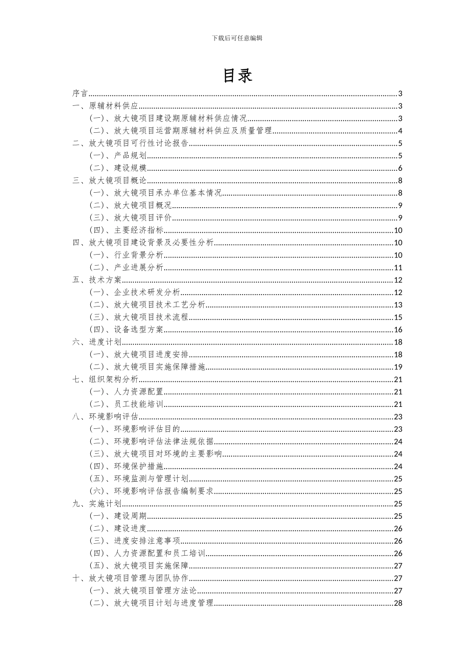 2024年放大镜项目可行性研究报告_第2页