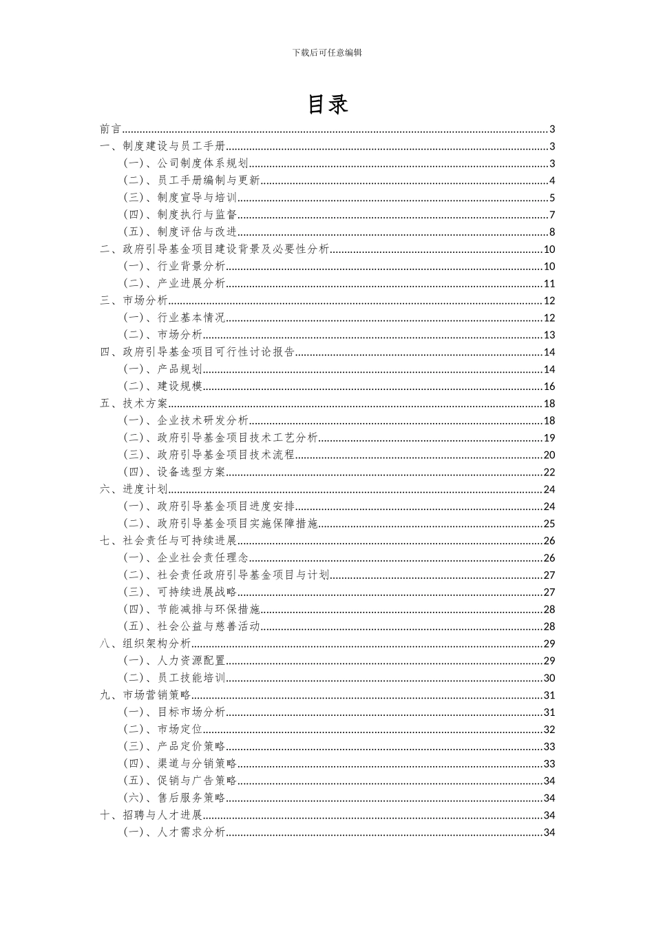 2024年政府引导基金项目可行性分析报告_第2页