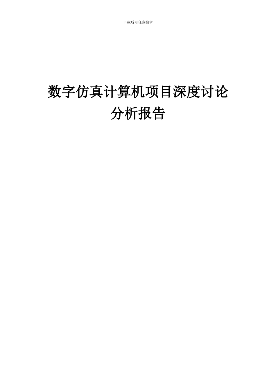 2024年数字仿真计算机项目深度研究分析报告_第1页