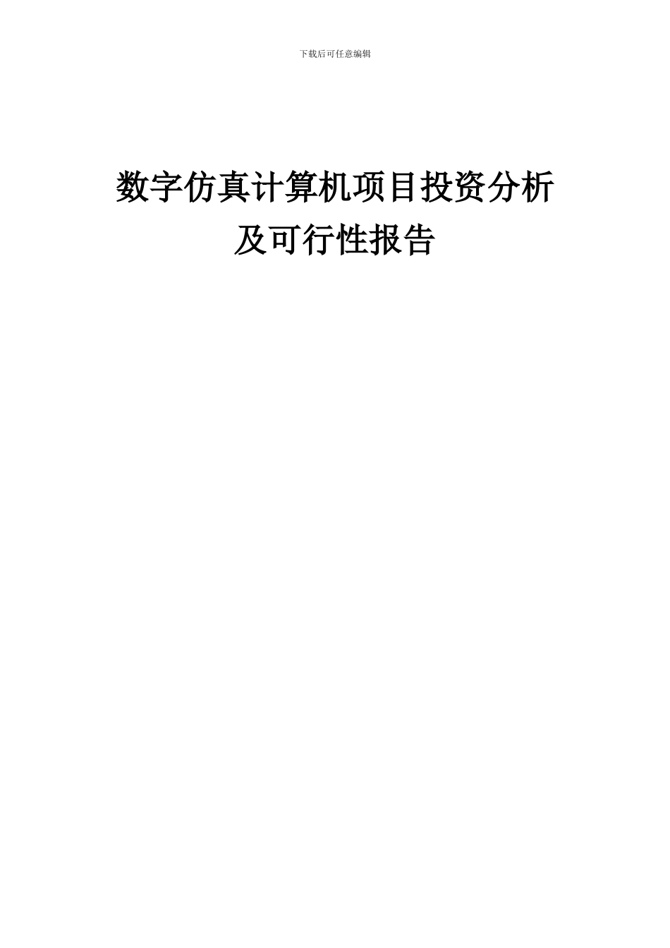 2024年数字仿真计算机项目投资分析及可行性报告_第1页