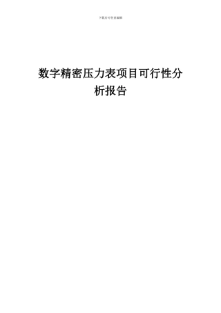 2024年数字精密压力表项目可行性分析报告