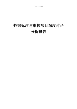 2024年数据标注与审核项目深度研究分析报告