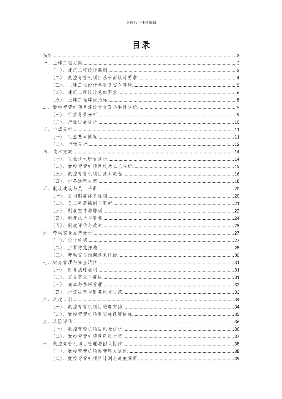 2024年数控弯管机项目可行性分析报告_第2页