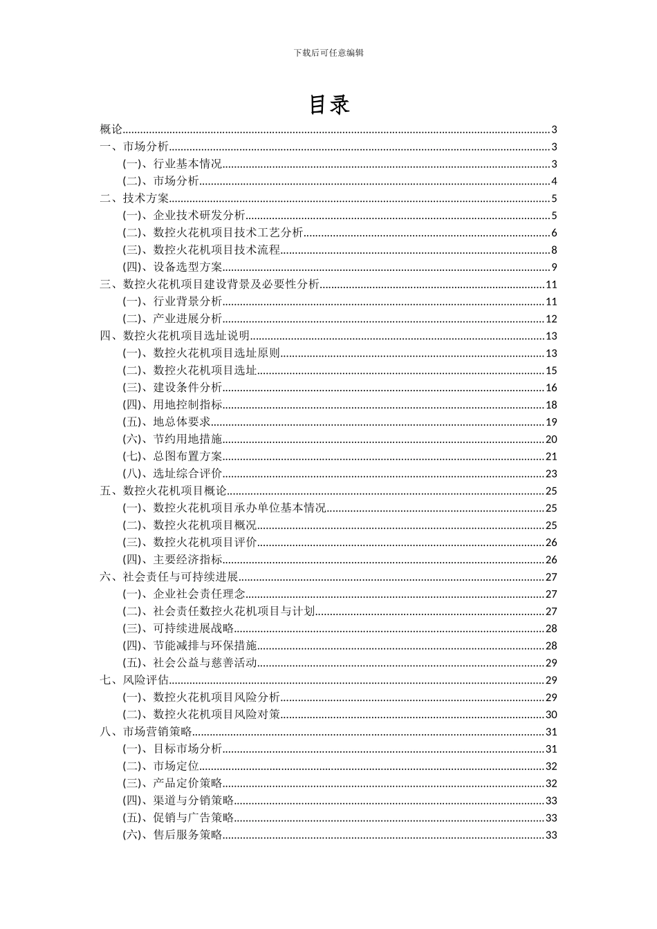 2024年数控火花机项目深度研究分析报告_第2页