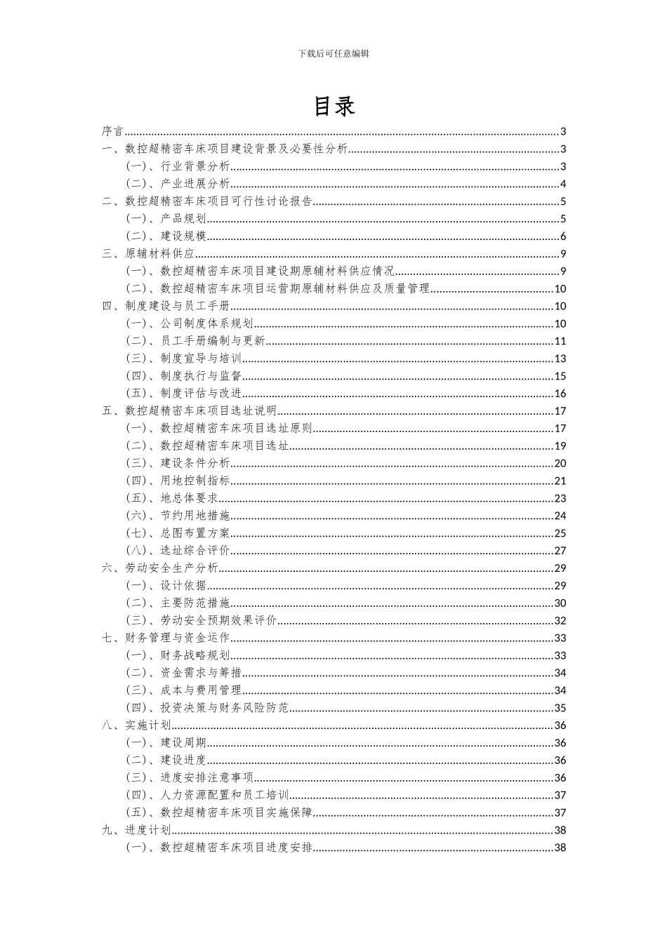 2024年数控超精密车床项目可行性研究报告_第2页