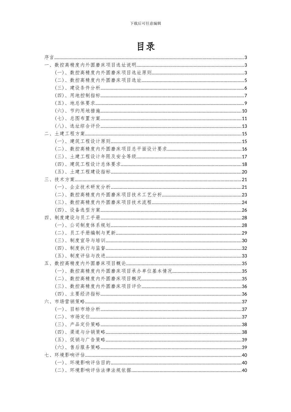 2024年数控高精度内外圆磨床项目可行性分析报告_第2页