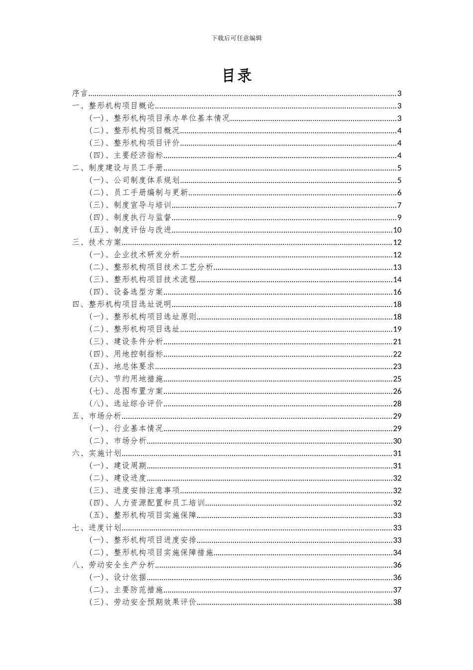 2024年整形机构项目可行性研究报告_第2页