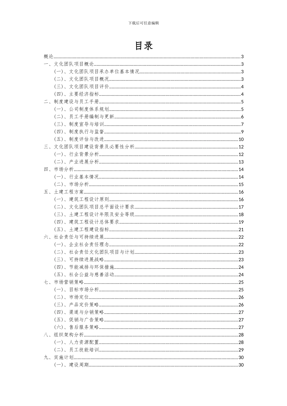 2024年文化团队项目可行性研究报告_第2页