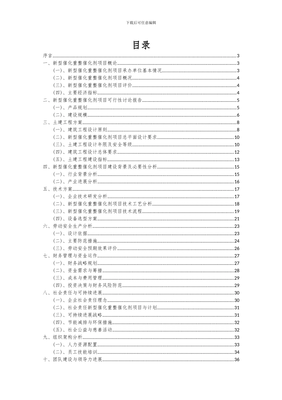 2024年新型催化重整催化剂项目可行性分析报告_第2页