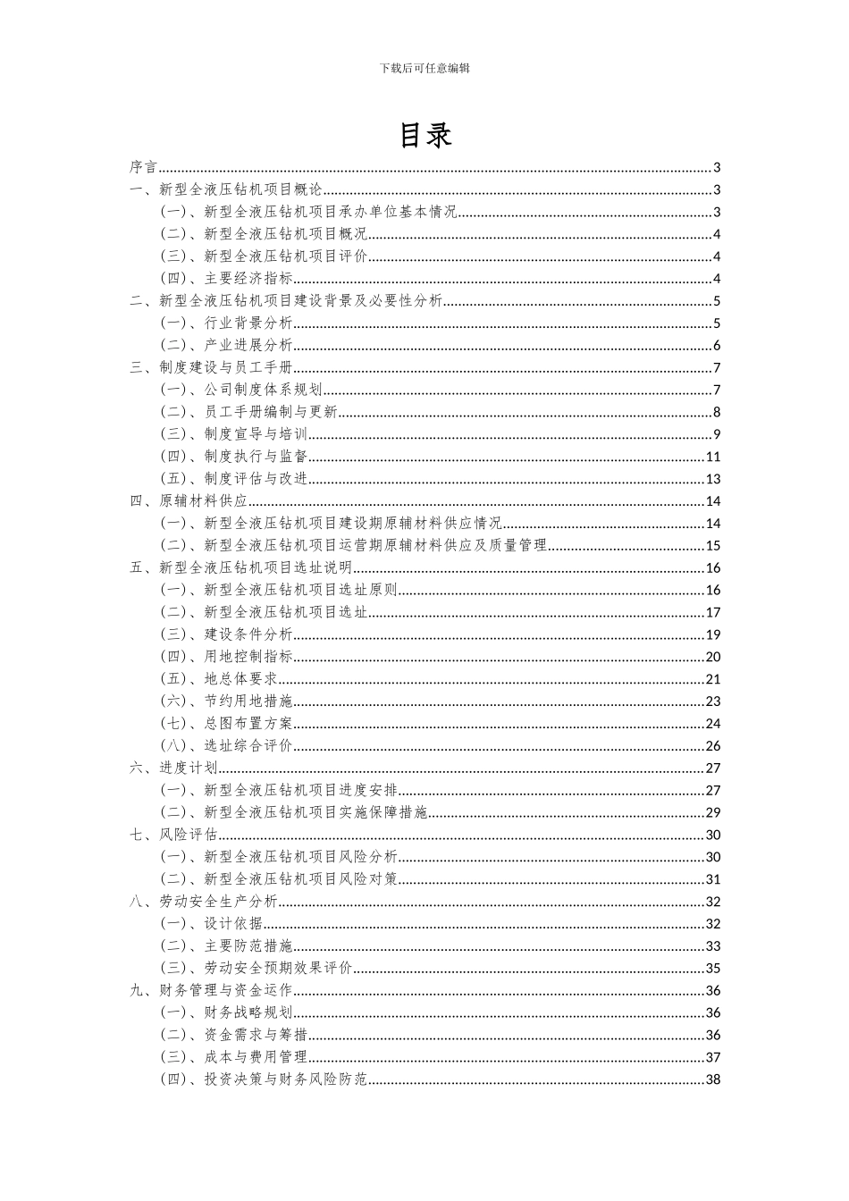 2024年新型全液压钻机项目可行性分析报告_第2页