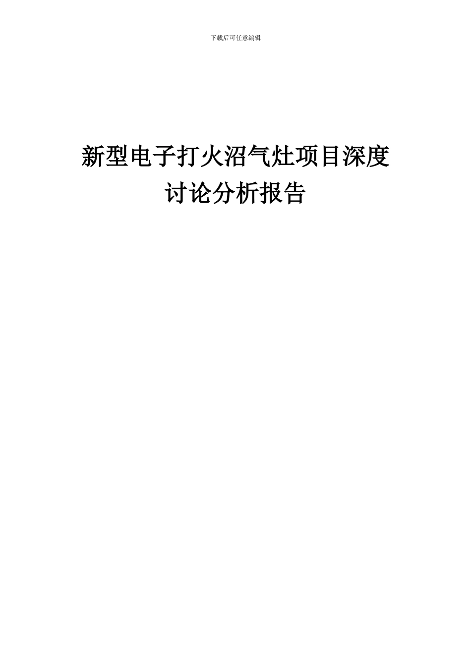 2024年新型电子打火沼气灶项目深度研究分析报告_第1页