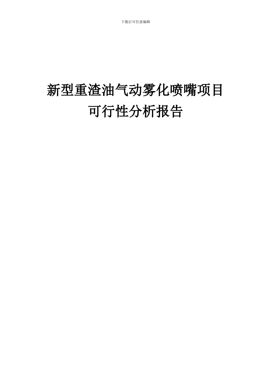 2024年新型重渣油气动雾化喷嘴项目可行性分析报告_第1页