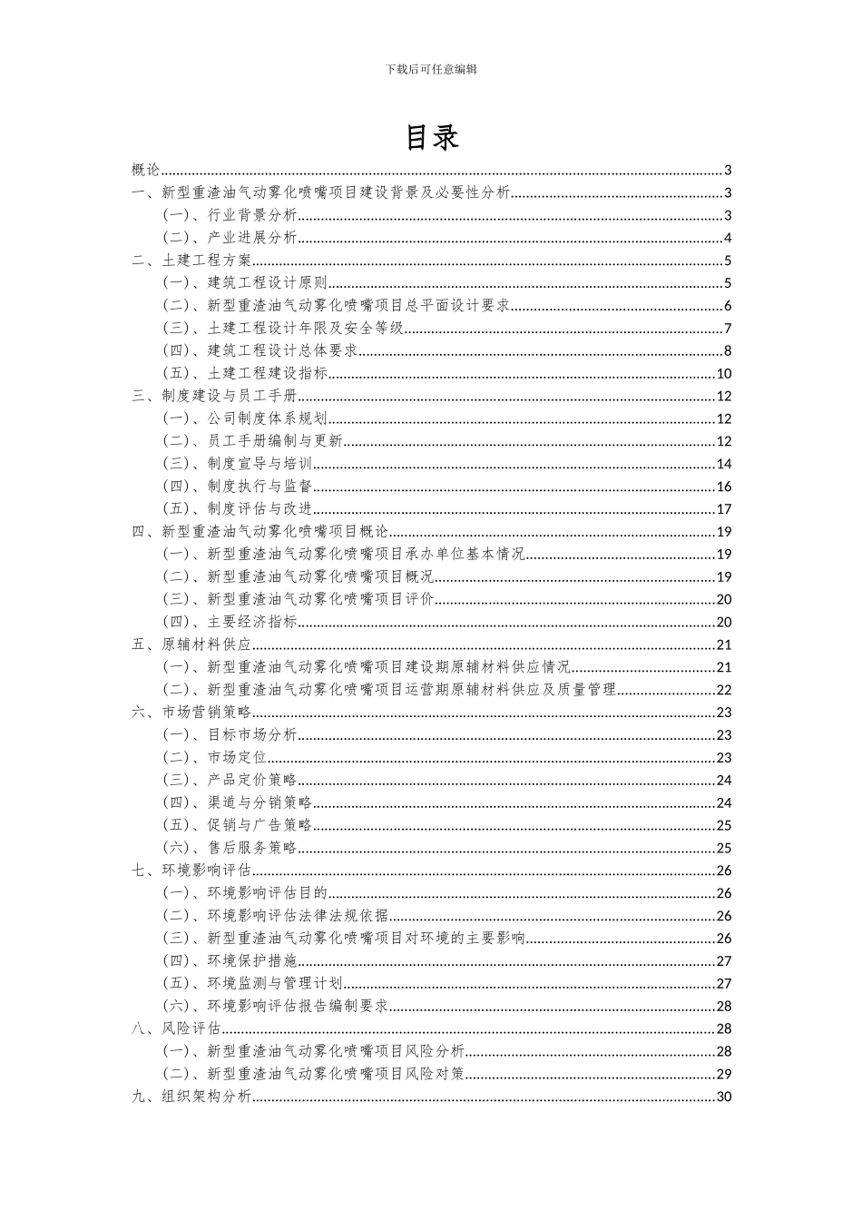 2024年新型重渣油气动雾化喷嘴项目可行性分析报告_第2页