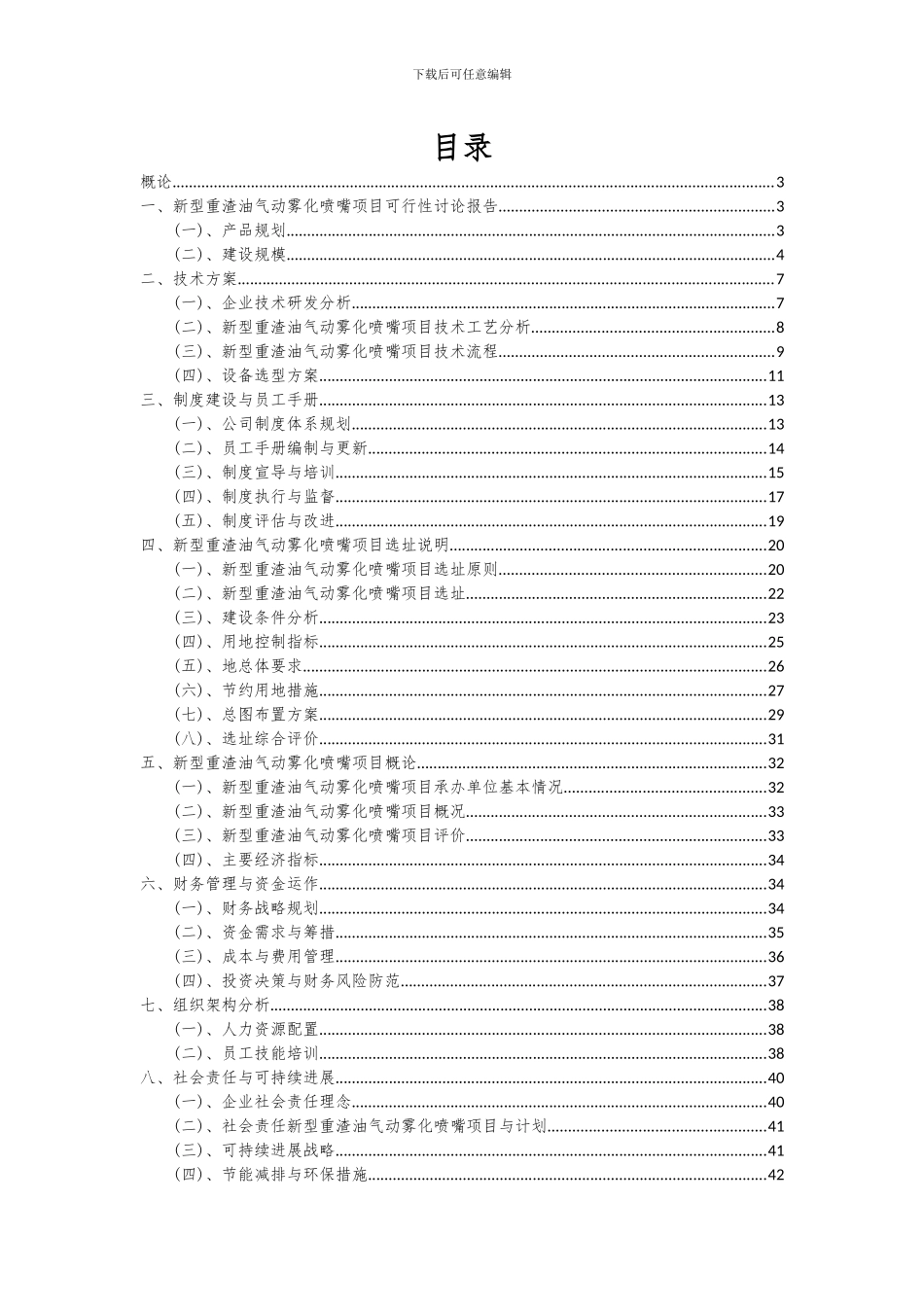 2024年新型重渣油气动雾化喷嘴项目可行性研究报告_第2页