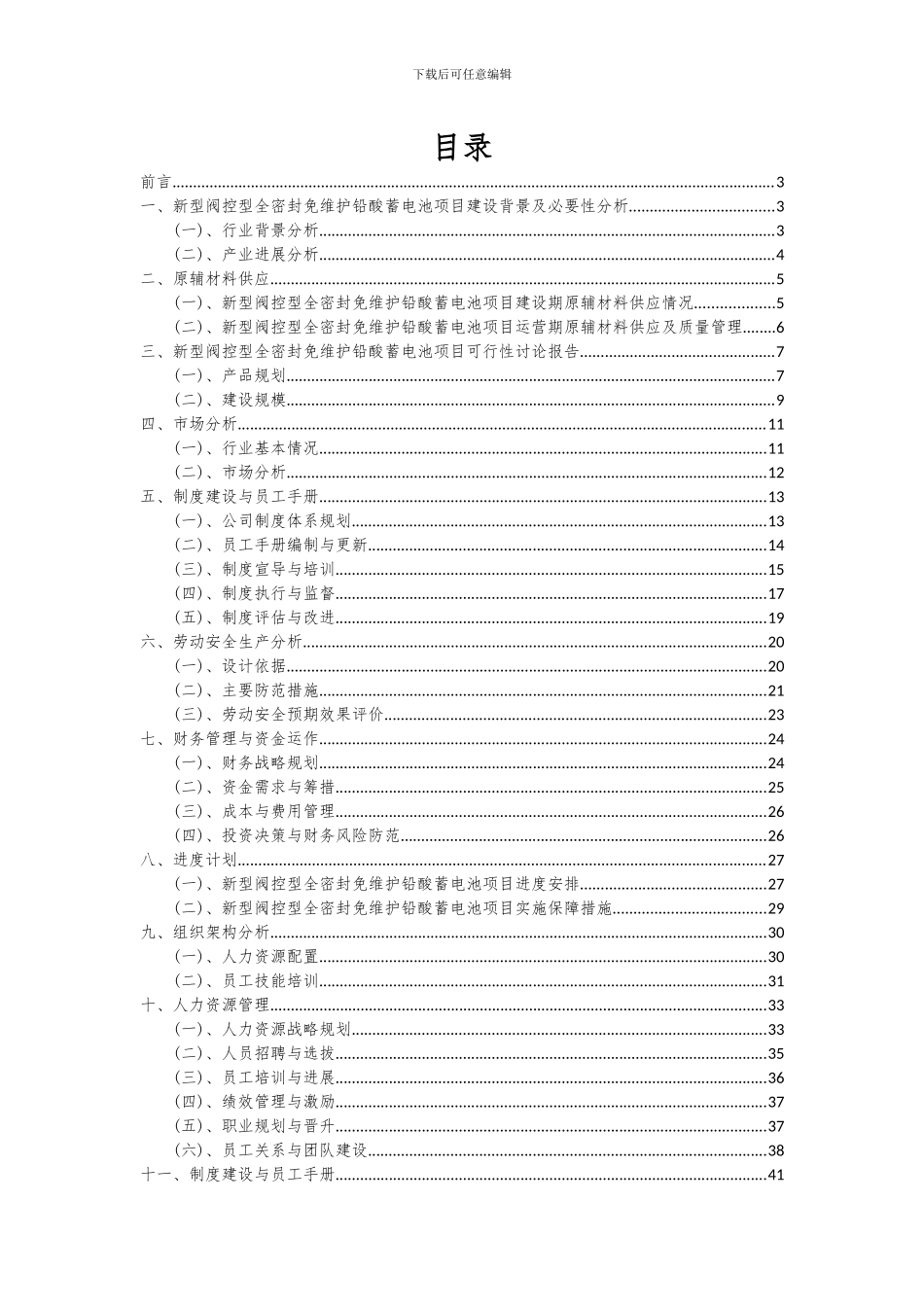2024年新型阀控型全密封免维护铅酸蓄电池项目可行性分析报告_第2页