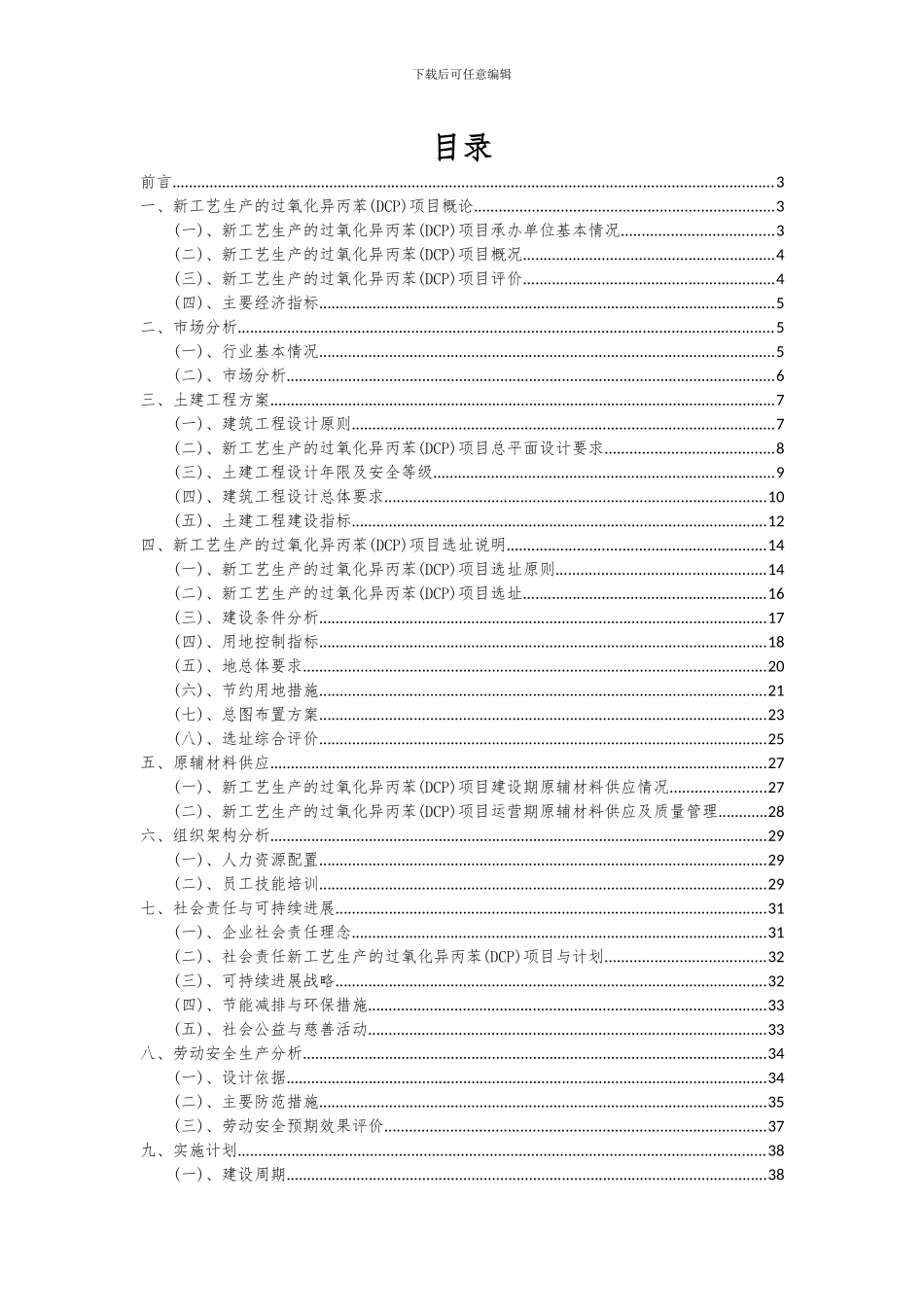 2024年新工艺生产的过氧化异丙苯(DCP)项目可行性研究报告_第2页