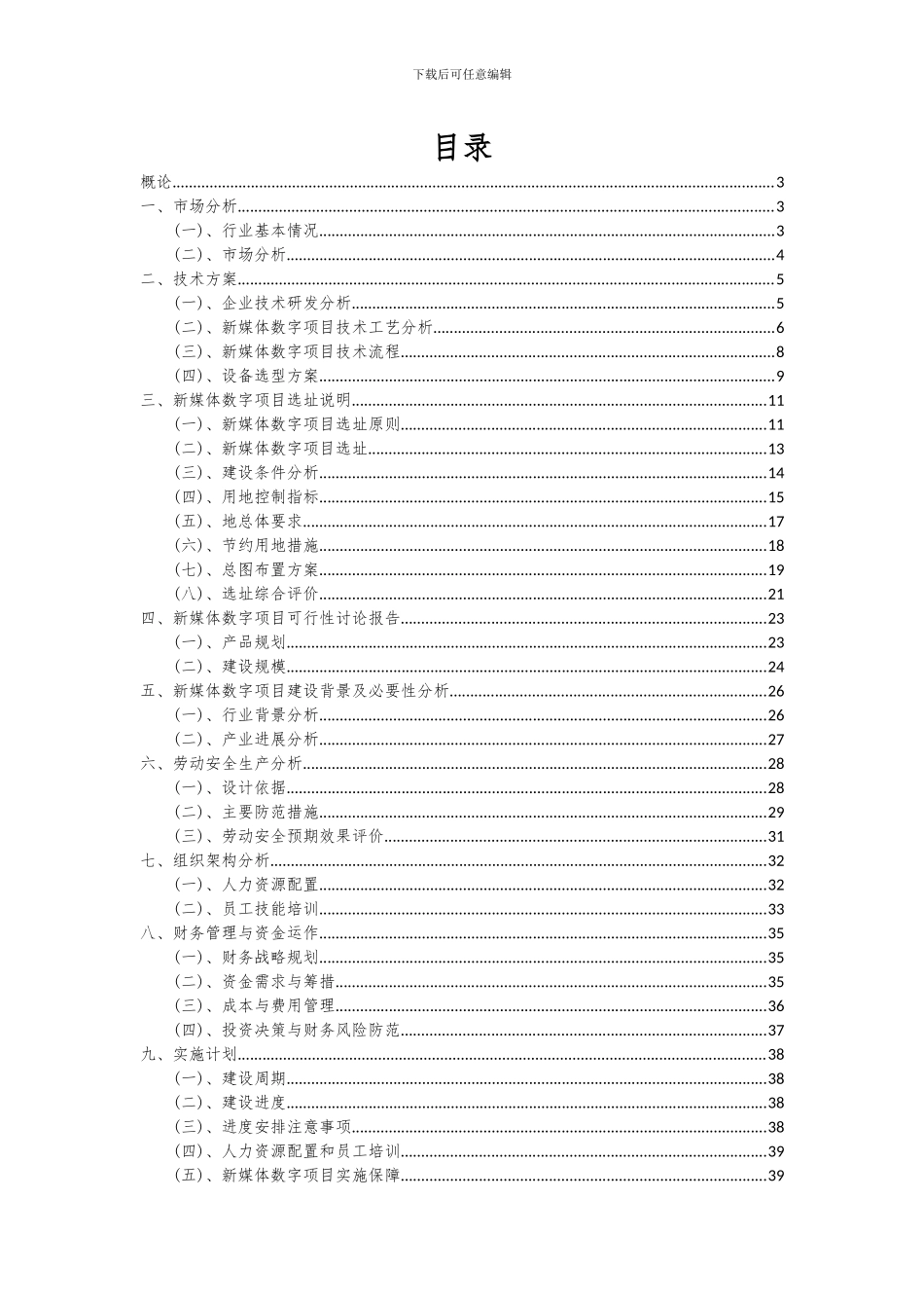 2024年新媒体数字项目可行性分析报告_第2页