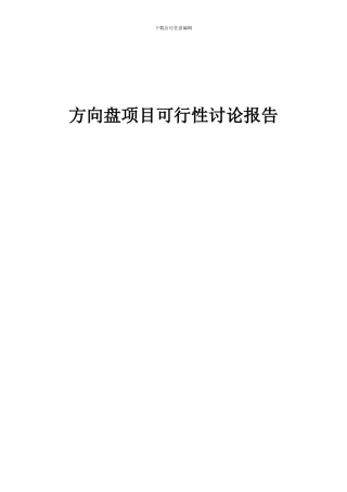 2024年方向盘项目可行性研究报告