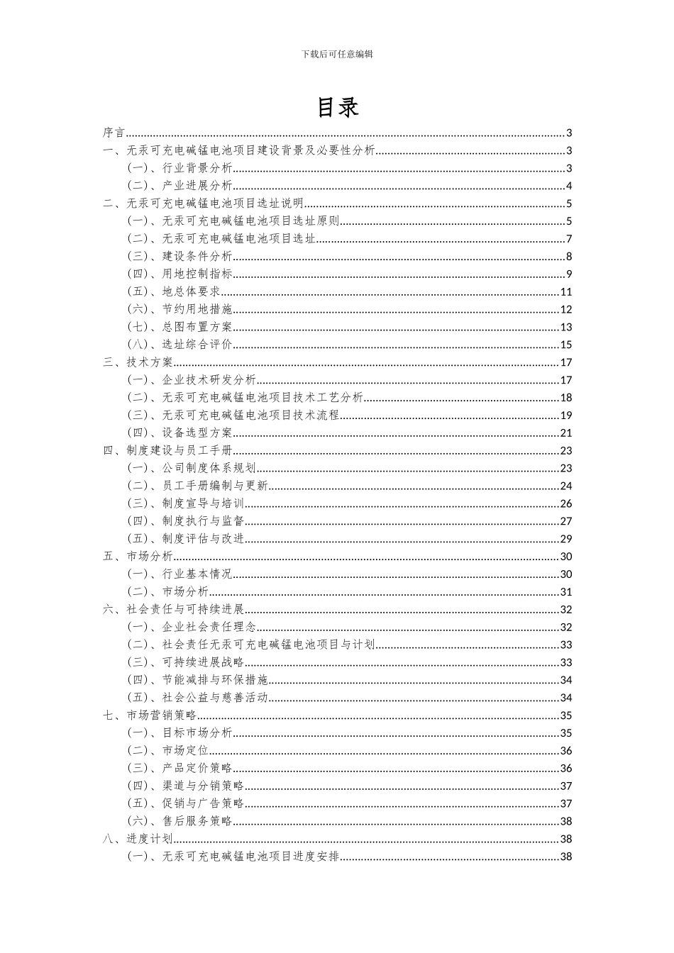 2024年无汞可充电碱锰电池项目投资分析及可行性报告_第2页