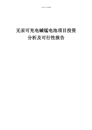 2024年无汞可充电碱锰电池项目投资分析及可行性报告