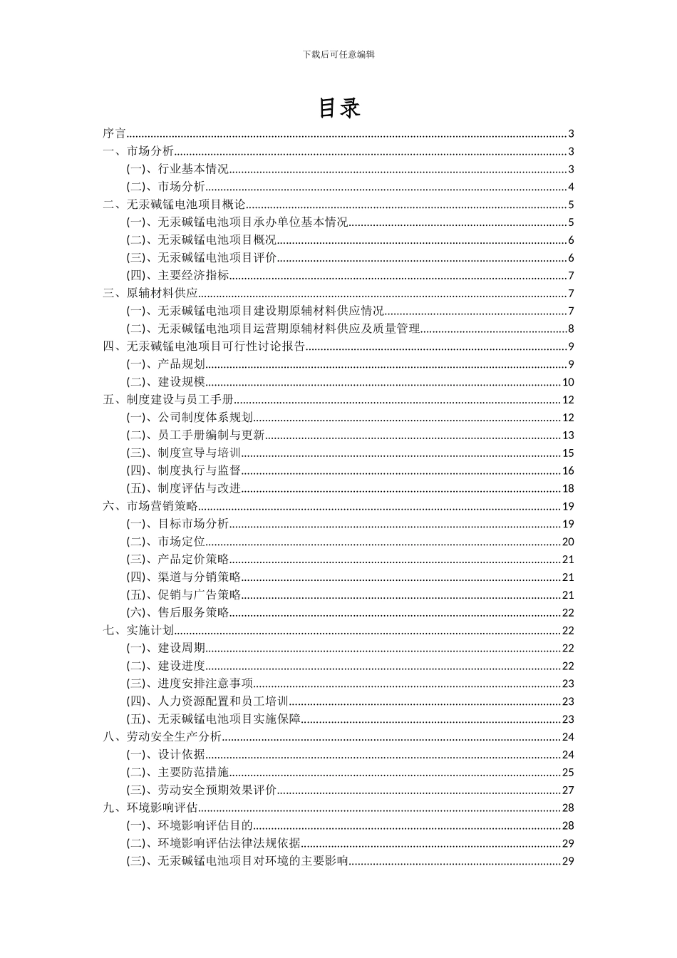 2024年无汞碱锰电池项目可行性研究报告_第2页