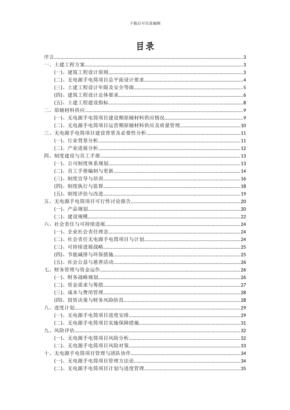 2024年无电源手电筒项目可行性分析报告_第2页